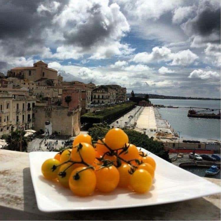 foto di Gerardo Mauro